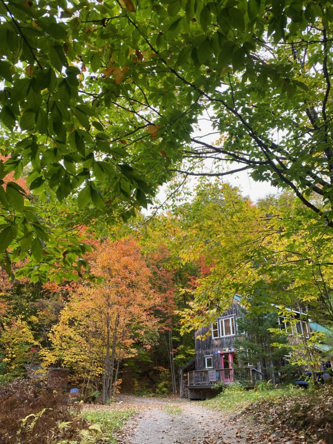 breathwork retreat in 0ctober 2025 at nurture through nature maine 2