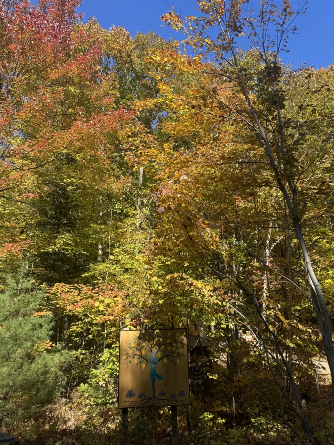 breathwork retreat in 0ctober 2025 at nurture through nature maine 5