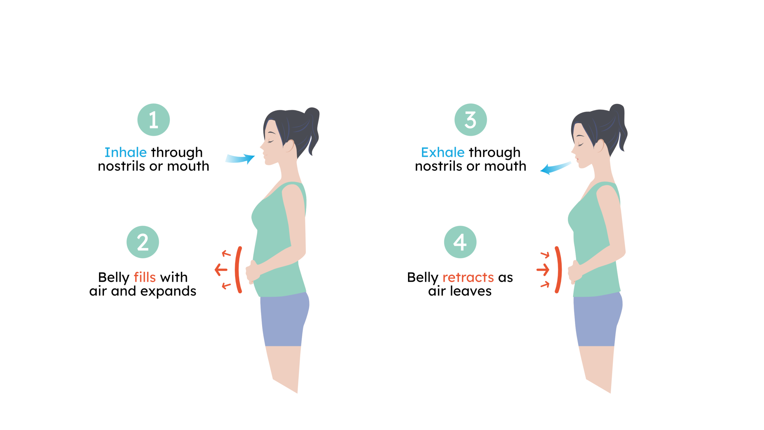 What is Belly Breathing AKA Diaphragmatic Breathing? - Breathe with ...